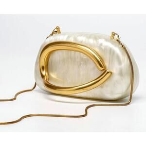 Acrylic Clutch Purse for Women with Crossbody Elegant Chain - vintage style